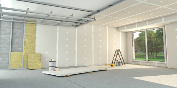 Best Cellulose Insulation  in Newark, NY